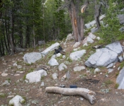 Montana 09 387